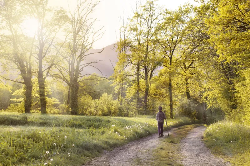 Your Brain Solves Problems Better When You Walk Away From Them